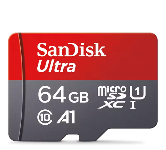 SanDisk Memory Card